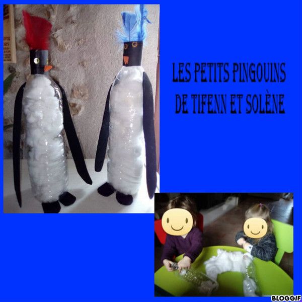 petits pingouin