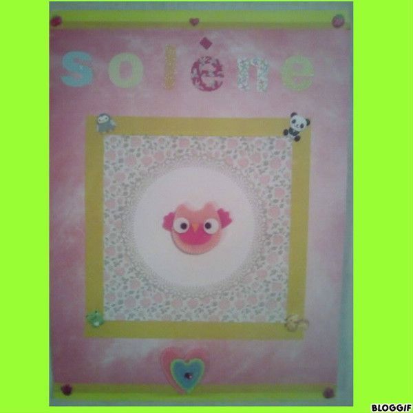 cahier de liaison de SOlène